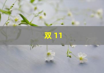 双 11